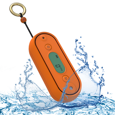 ราคาดี IP67 เครื่องตรวจจับก๊าซ CO ของมือพกพาที่ระวังคาร์บอนโมโนออกไซด์ สําหรับโรงรถใต้ดิน ออนไลน์
