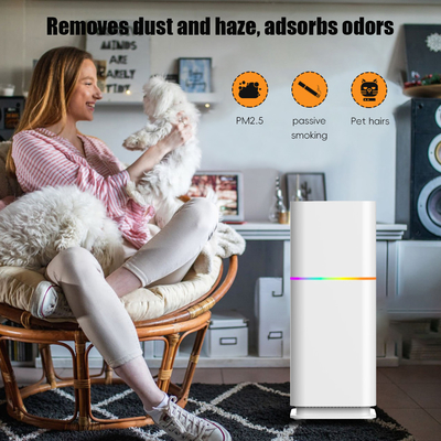 ราคาดี ODM HEPA เครื่องล้างฝุ่นห้อง เครื่องล้างอากาศที่อยู่อาศัย 240V สําหรับ PM25 ออนไลน์